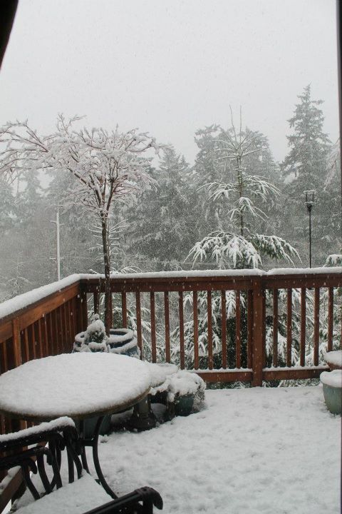 Massive snowstorm heads to Northwest; possibly of largest accumulation of snow in decades
