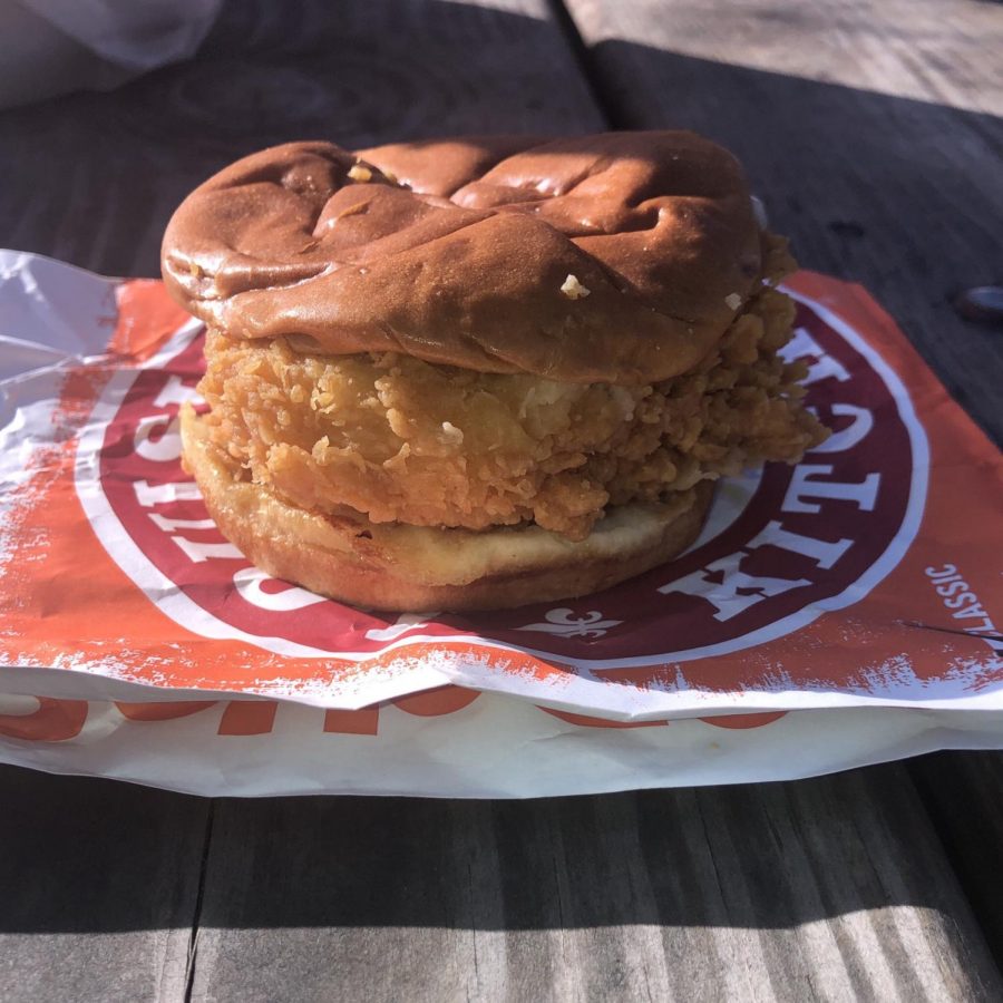 The Popeyes chicken sandwich glowing in the sun, waiting to be eaten.