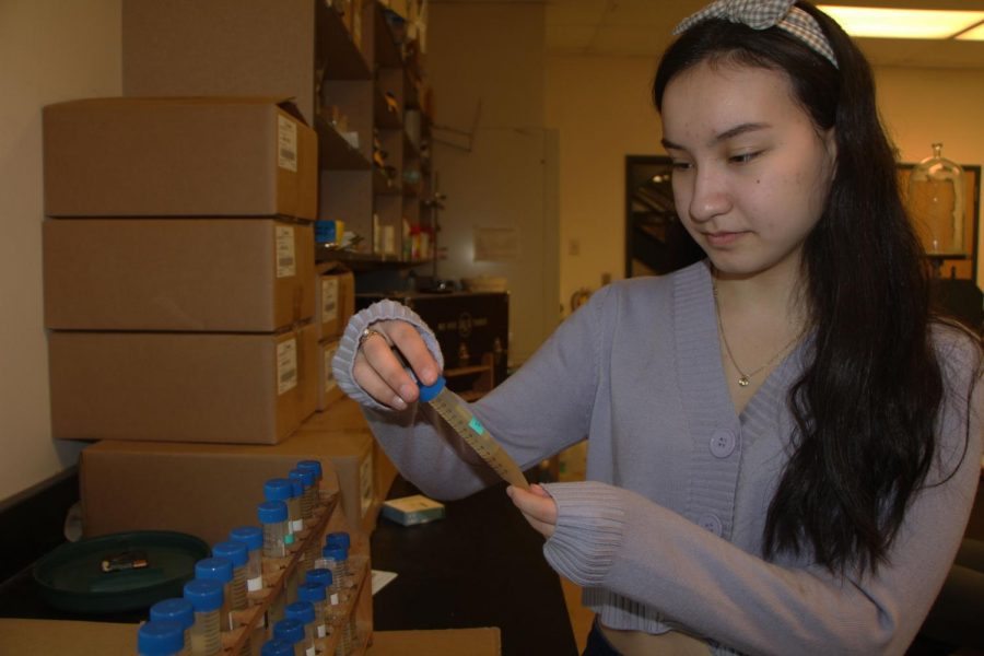 In order to continue to add to her progress log, Nina Pejcinovic, 12 analyzes her plastic samples. 