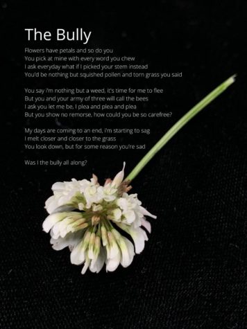 The Bully-original photography and poem by Sienna Reiner
