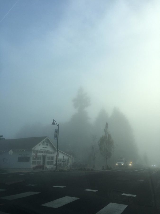 Mystic Magic-original fog photography by Kaelin Kehm