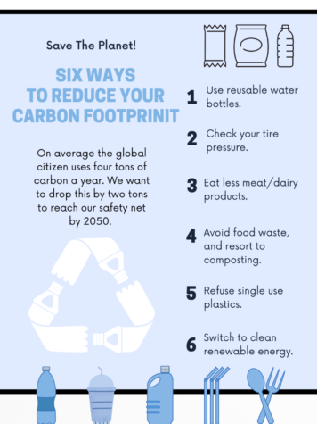With six simple steps, anybody can reduce their carbon footprint.