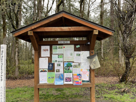 Local bulletin boards are a great place to find volunteer opportunities.