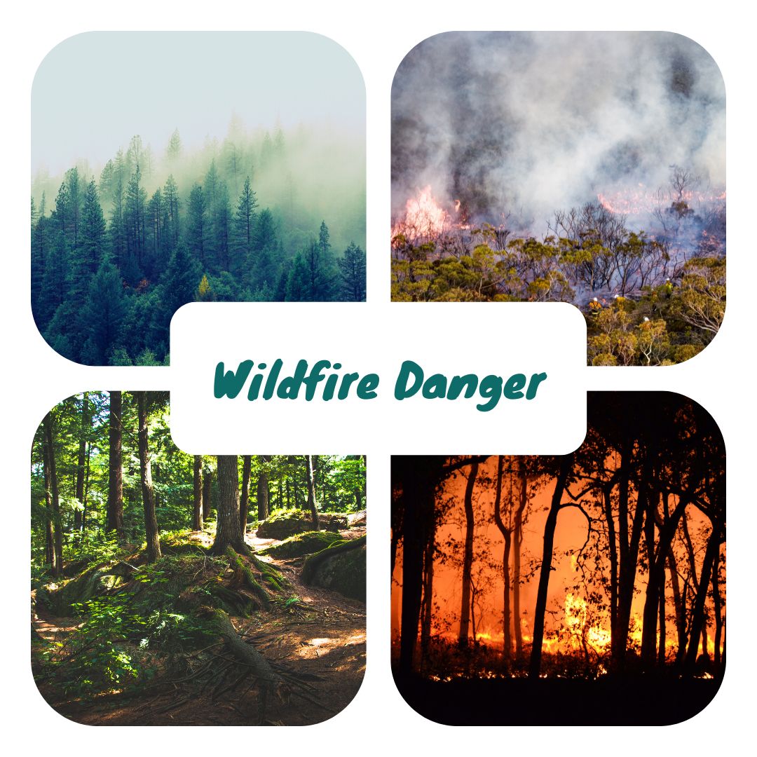 Wildfires were prevalent all over Oregon this past fire season.
