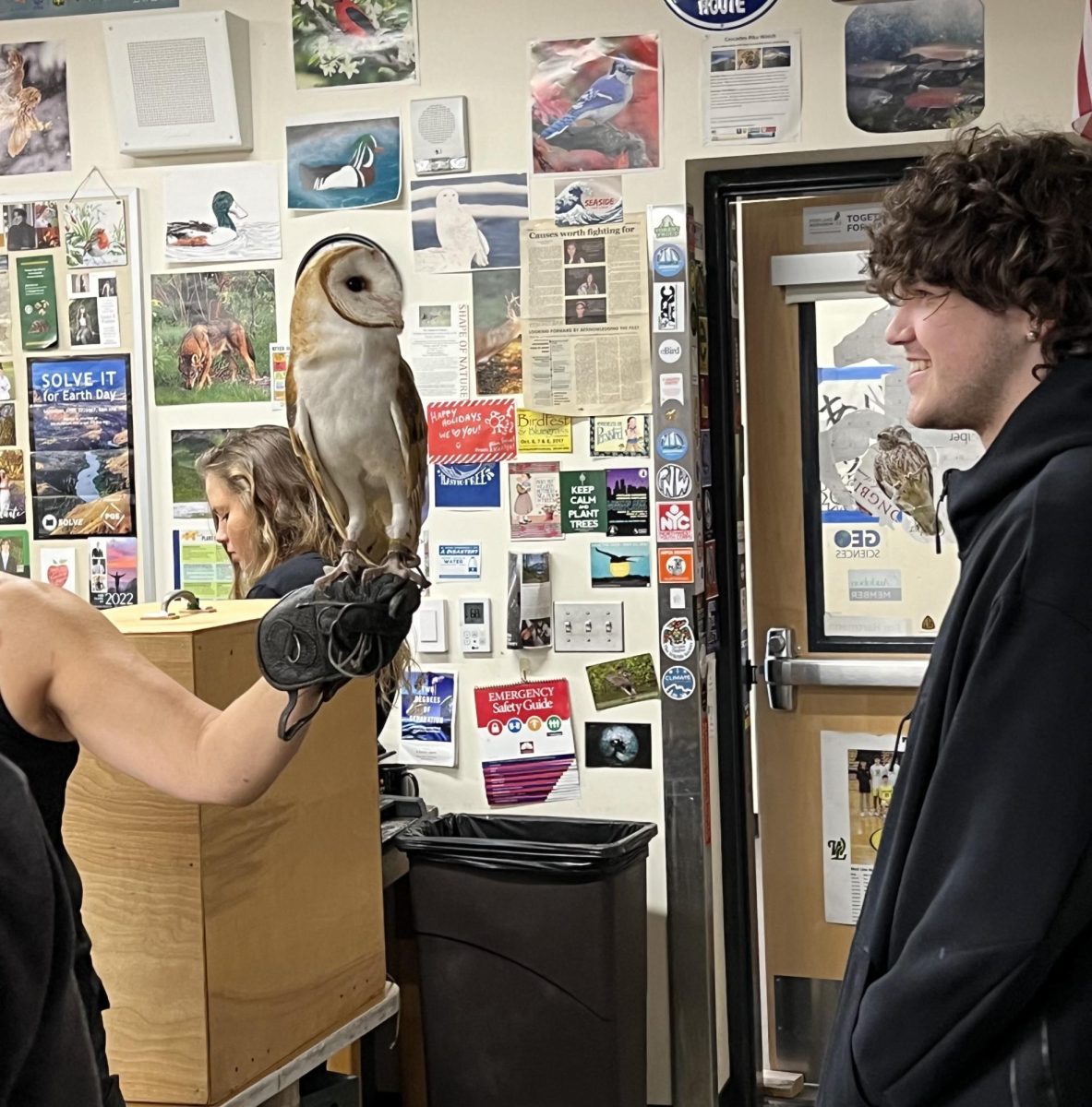 Falcons have been proven to engage students in a classroom environment.